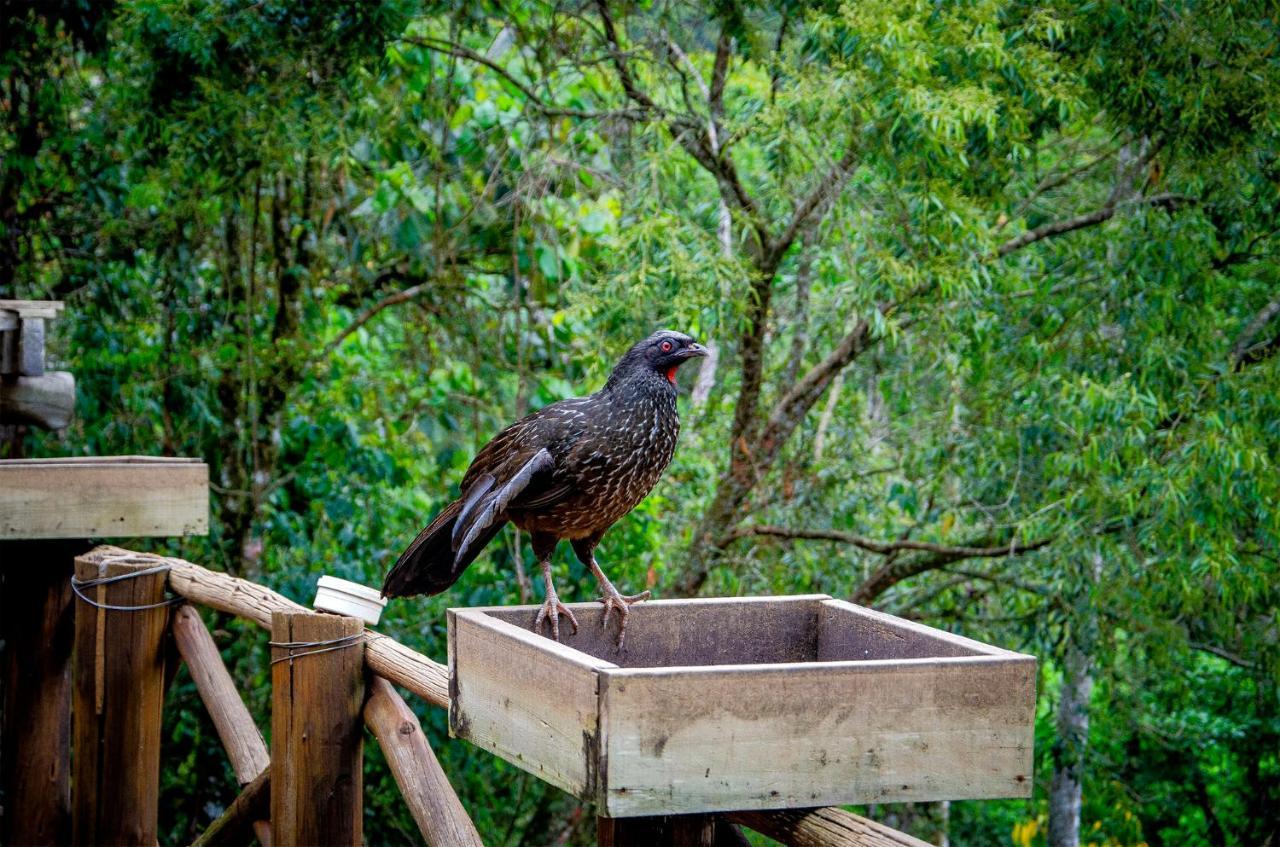 Pousada Rancho Das Framboesas Visconde De Maua Exterior foto